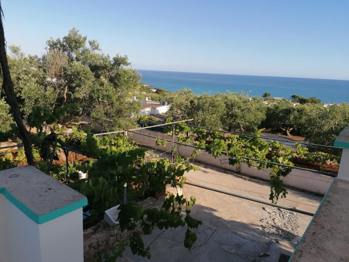 Salignano La Mennula Garden公寓 外观 照片