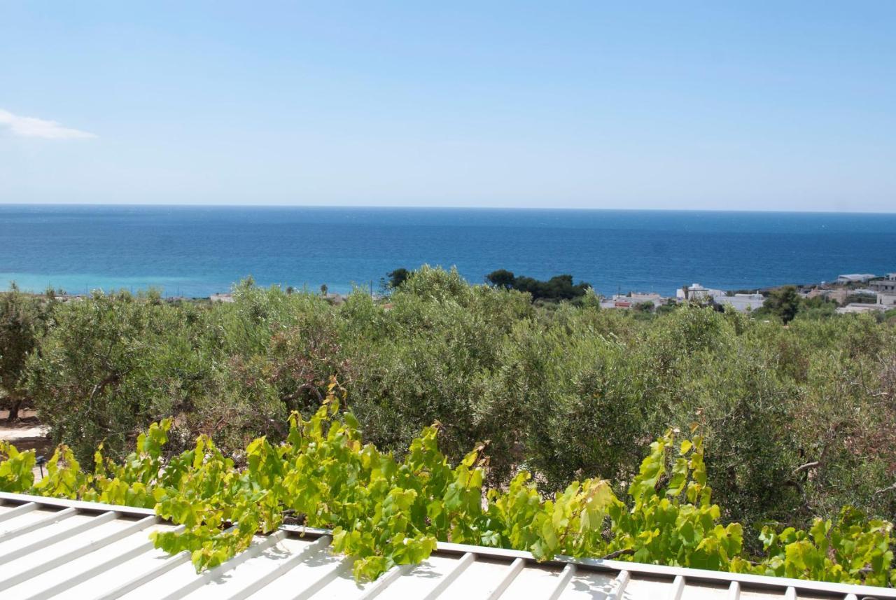 Salignano La Mennula Garden公寓 外观 照片