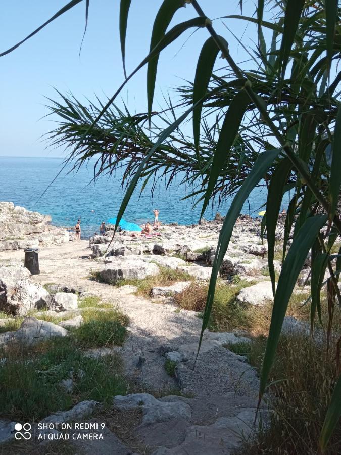 Salignano La Mennula Garden公寓 外观 照片